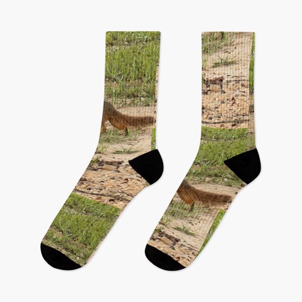 Item preview, Fox Squirrel in a Forest Canopy. designed and sold by Pearls1.