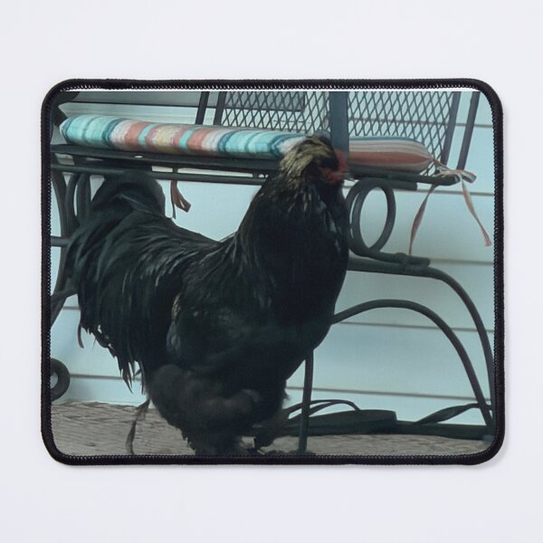 Item preview, Black Silkie Chicken On a porch. designed and sold by Pearls1.
