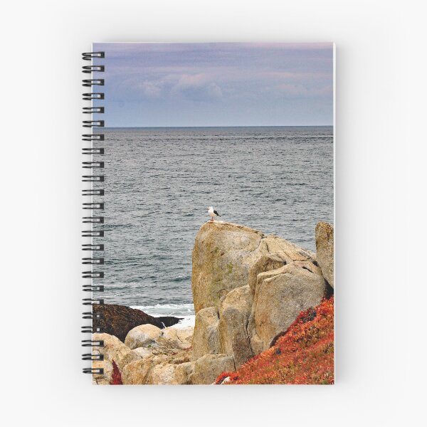 Item preview, 17 Mile Drive designed and sold by supernova23.