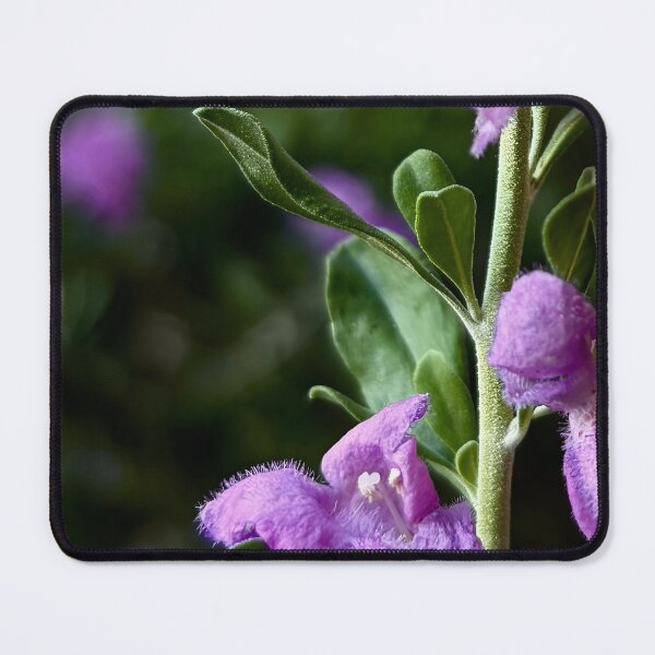 Item preview, Texas Sage Purple Flower designed and sold by Baulmonart.