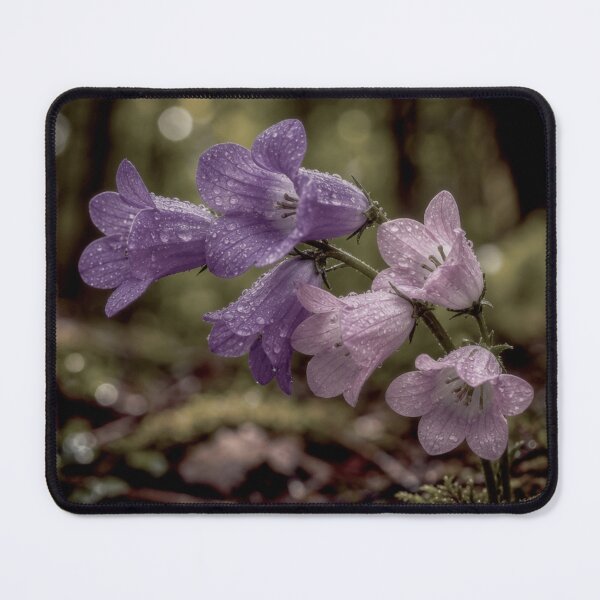 Item preview, Forest Bells After Rain designed and sold by CunningMaskPrints.
