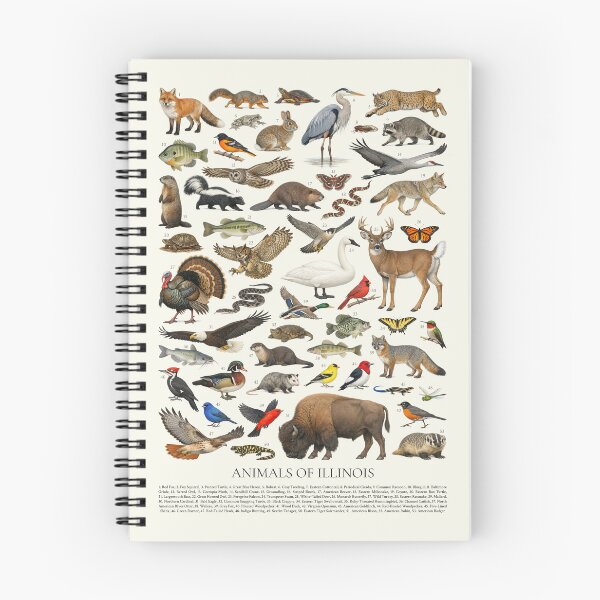 Item preview, Animals of Illinois Retro Style Identification Chart designed and sold by kakarikihill.