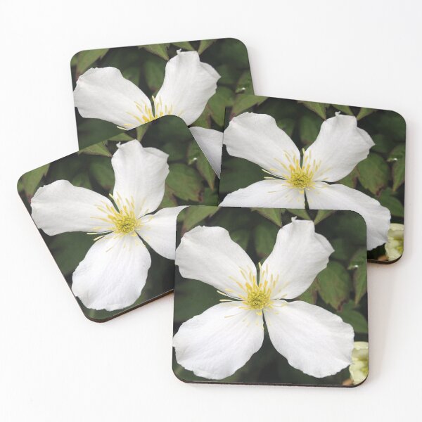 Item preview, clematis designed and sold by KathleenDawson.