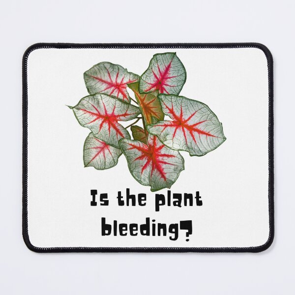 Item preview, Is the plant bleeding? designed and sold by PlantSholic.
