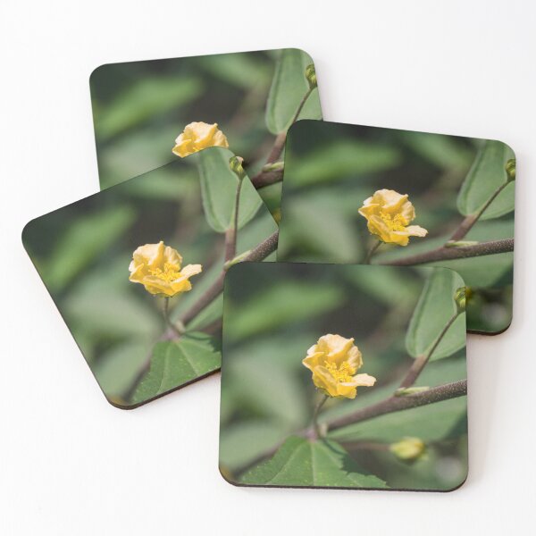 Item preview, Common Wireweed designed and sold by ROSE ANN BANILAR.