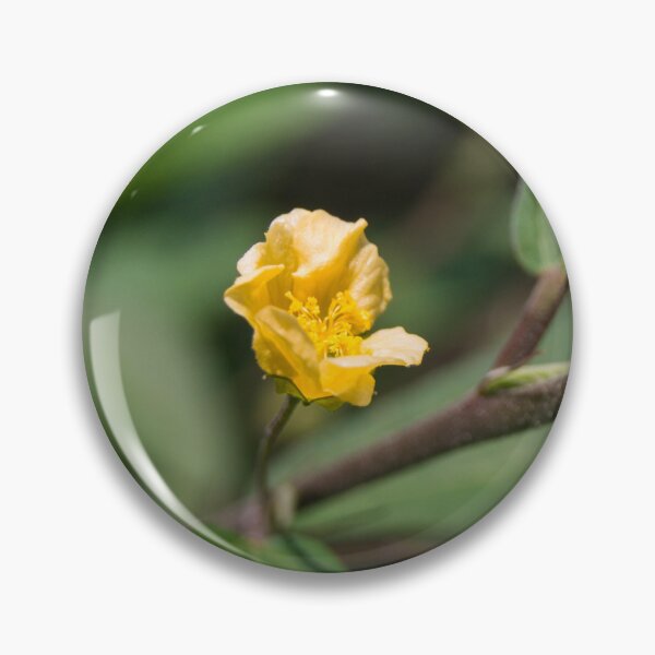 Item preview, Common Wireweed designed and sold by ROSE ANN BANILAR.
