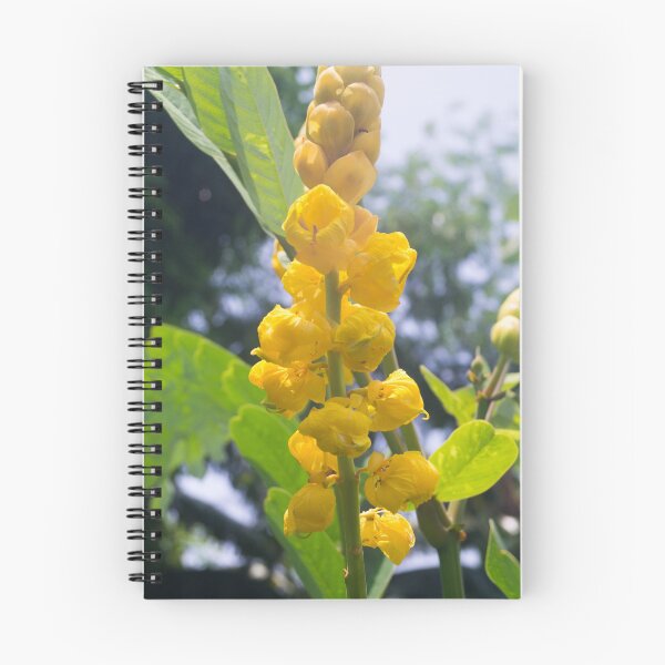 Item preview, Candle Bush Plant_02 designed and sold by ROSE ANN BANILAR.