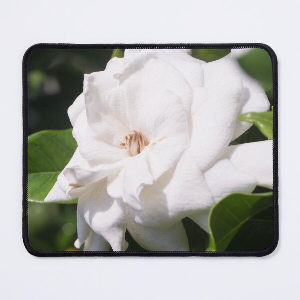 Item preview, Gardenia_02 designed and sold by ROSE ANN BANILAR.