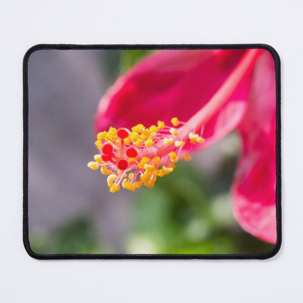 Item preview, Red Pink Hibiscus designed and sold by ROSE ANN BANILAR.