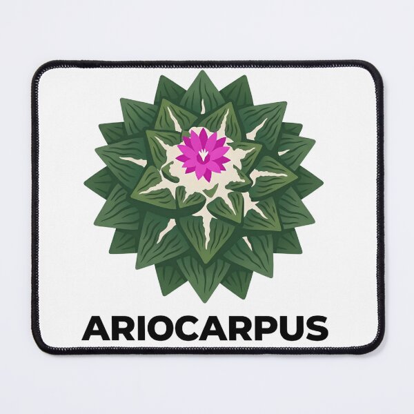 Item preview, Minimalist Ariocarpus Cactus Sharp Typography Graphic designed and sold by GreenDivisionJP.