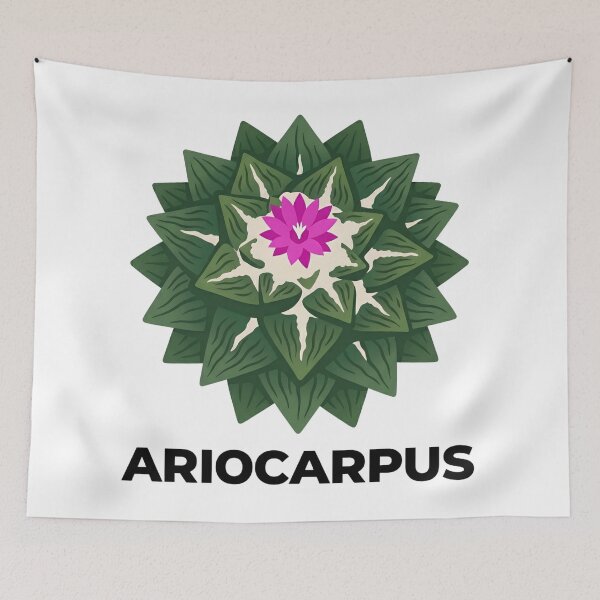 Item preview, Minimalist Ariocarpus Cactus Sharp Typography Graphic designed and sold by GreenDivisionJP.