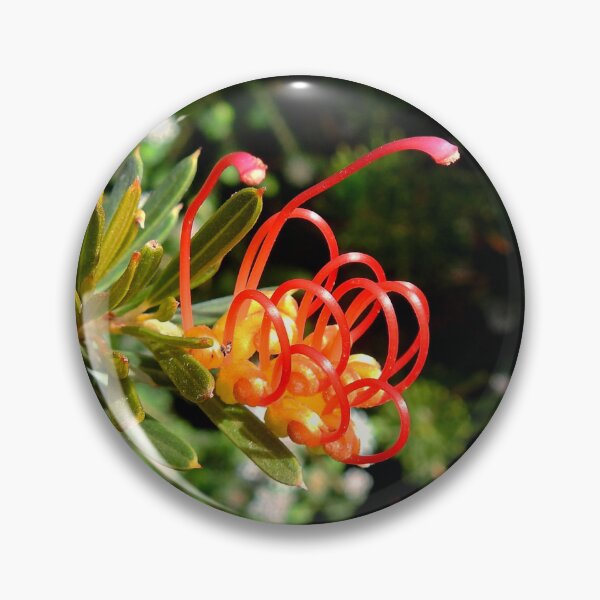 Item preview, GREVILLEA, NATIVE AUSTRALIAN WILDFLOWERS designed and sold by AussieAl.