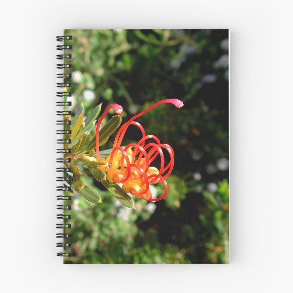 Item preview, GREVILLEA, NATIVE AUSTRALIAN WILDFLOWERS designed and sold by AussieAl.