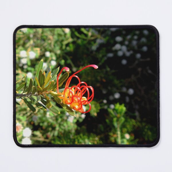 Item preview, GREVILLEA, NATIVE AUSTRALIAN WILDFLOWERS designed and sold by AussieAl.