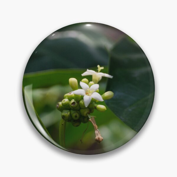 Item preview, Noni Tree Flower designed and sold by ROSE ANN BANILAR.