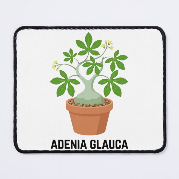 Item preview, Minimalist Caudex Adenia Glauca Botanical Logo designed and sold by GreenDivisionJP.