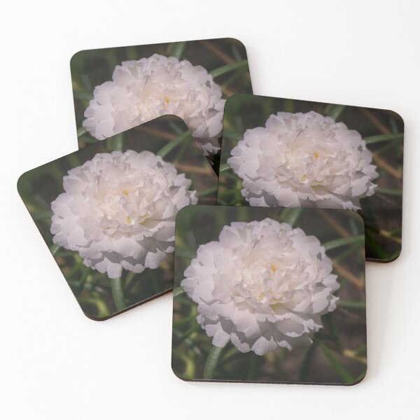 Item preview, White Moss Rose designed and sold by ROSE ANN BANILAR.