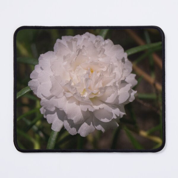 Item preview, White Moss Rose designed and sold by ROSE ANN BANILAR.
