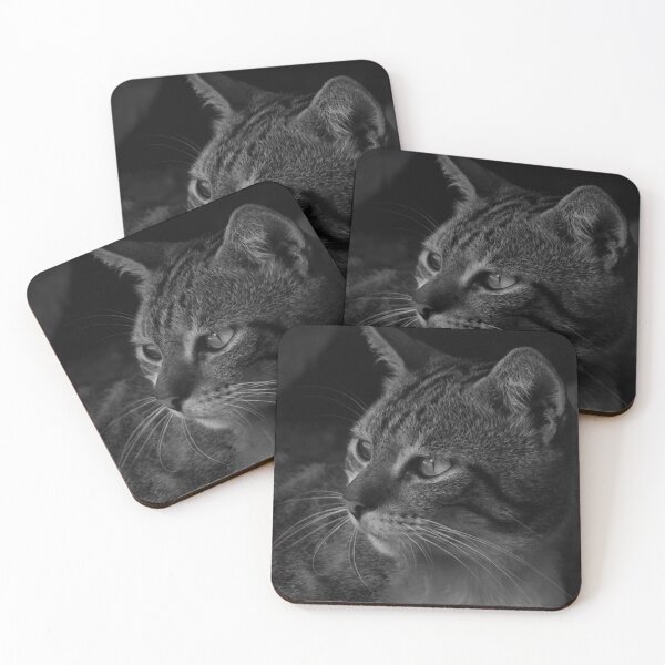 Item preview, B&W - Striped Cat  designed and sold by ROSE ANN BANILAR.