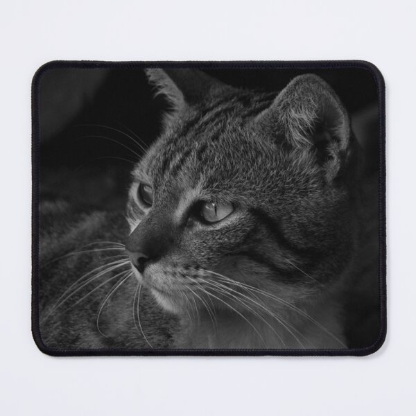 Item preview, B&W - Striped Cat  designed and sold by ROSE ANN BANILAR.
