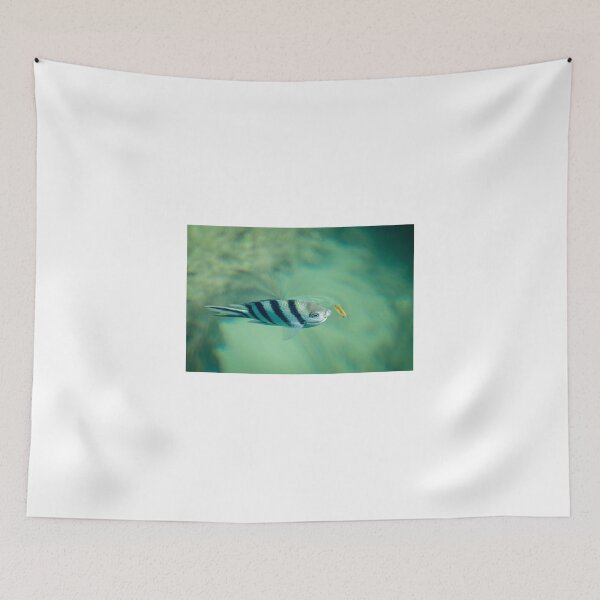 Item preview, Scissortail Sergeant designed and sold by D-GaP.