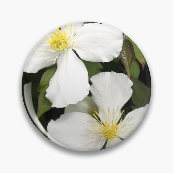 Item preview, clematis designed and sold by KathleenDawson.