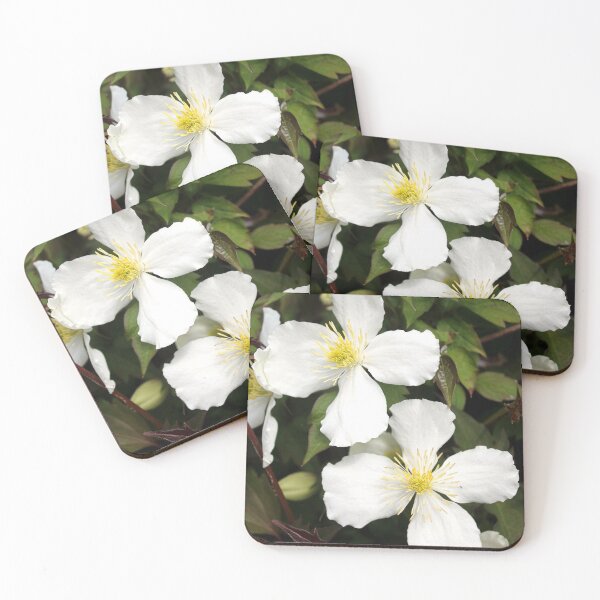 Item preview, clematis designed and sold by KathleenDawson.