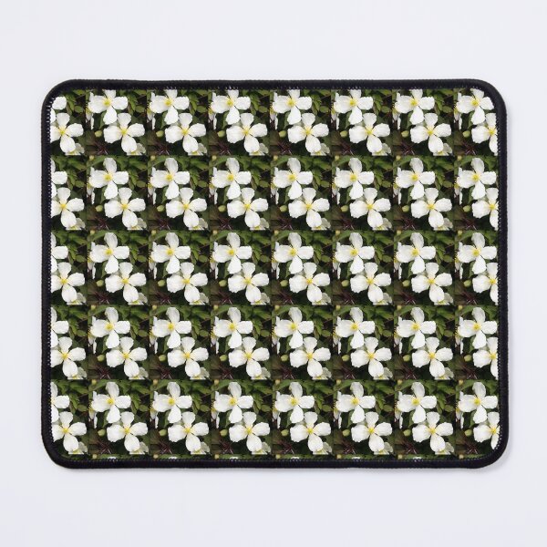 Item preview, clematis designed and sold by KathleenDawson.