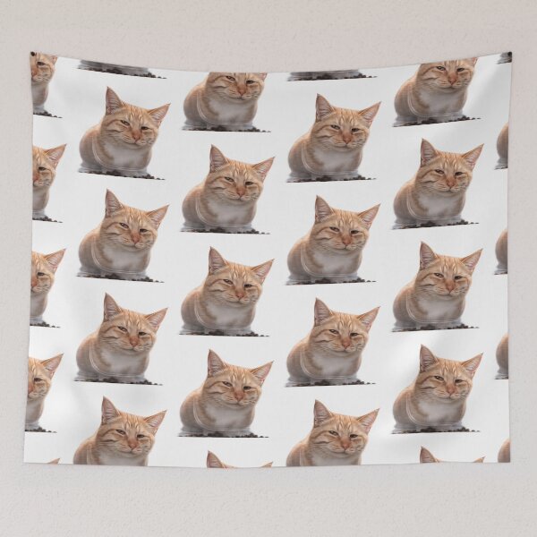 Item preview, Suspicious cat from meme designed and sold by t-patterns.