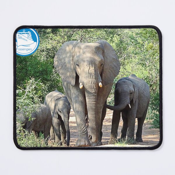 Item preview, Elephant excursion designed and sold by Silversea Passengers.