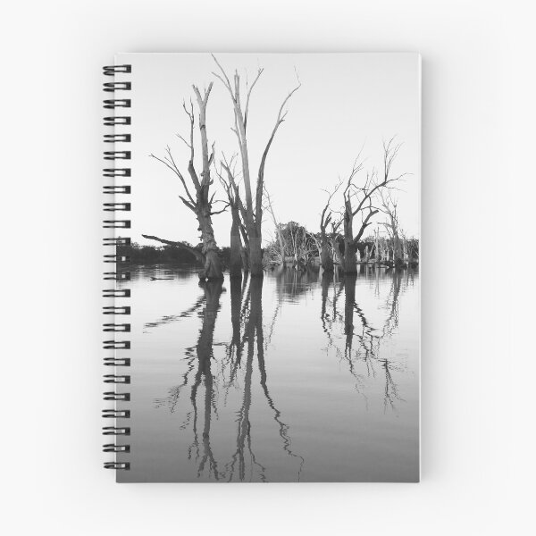 Item preview, Black and White Photo of Dead Trees Reflected in Lake designed and sold by jaynerushton.