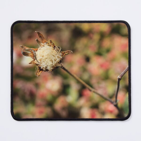 Item preview, Close-Up Macro Of Dried Seed Head With Fuzzy Fibers On Stem Against Blurred Floral Background designed and sold by Nmallia.