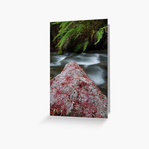 Rata Rock. Greeting Card