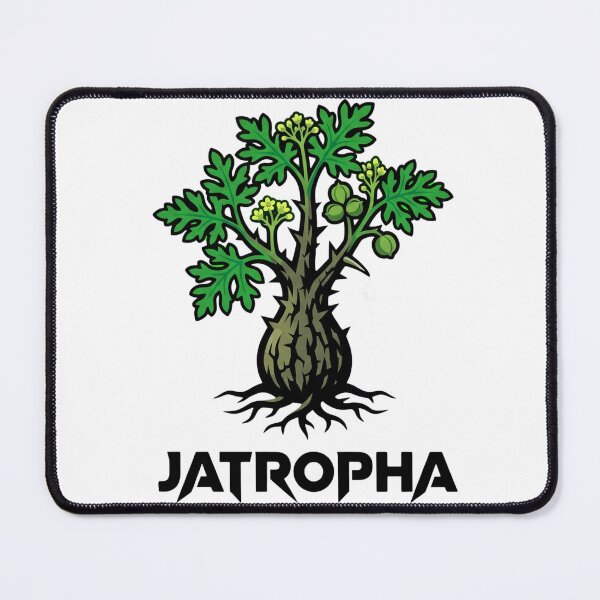 Item preview, Minimalist Jatropha Fissispina Caudex Plant Graphic designed and sold by GreenDivisionJP.