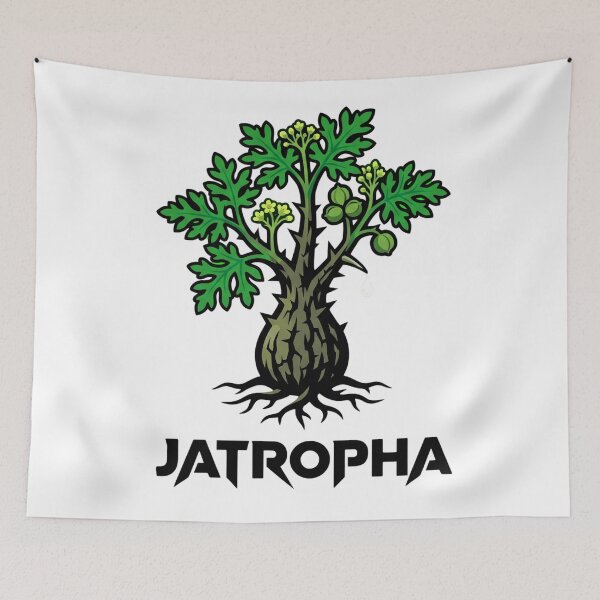 Item preview, Minimalist Jatropha Fissispina Caudex Plant Graphic designed and sold by GreenDivisionJP.