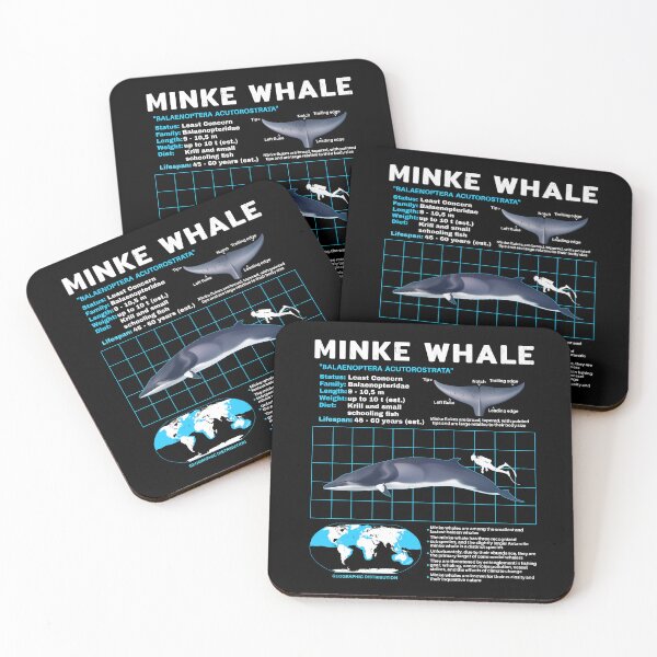 Item preview, Copy of Minke whale data sheet designed and sold by NicGrayGraphic.
