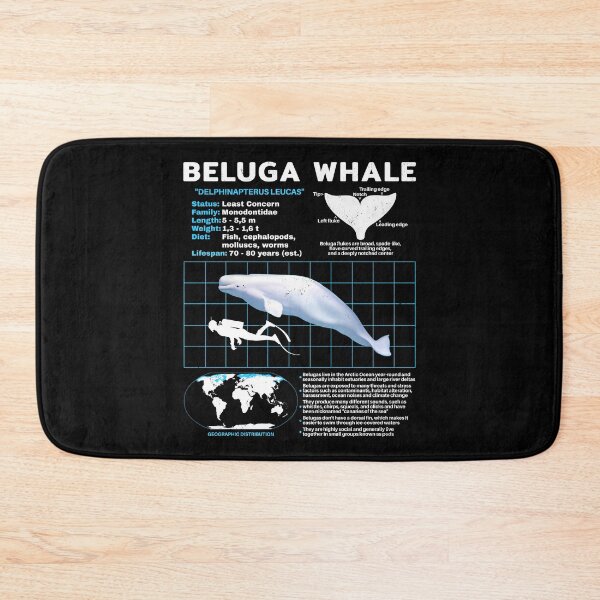 Item preview, Beluga White Whale Fact Sheet designed and sold by NicGrayGraphic.