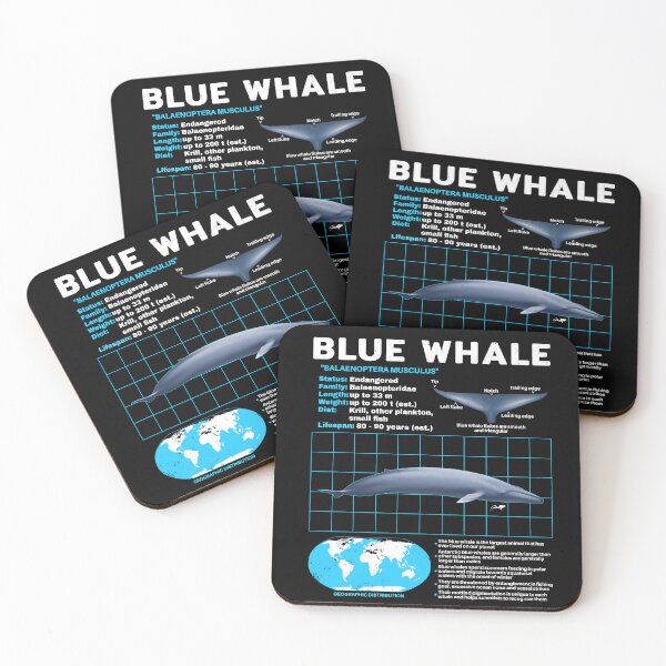 Item preview, Blue Whale Fact Sheet designed and sold by NicGrayGraphic.