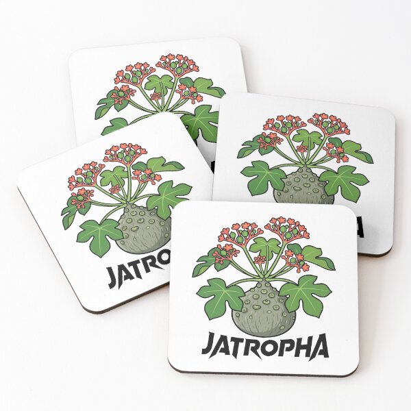 Item preview, Minimalist Jatropha Podagrica Caudex Club Graphic designed and sold by GreenDivisionJP.