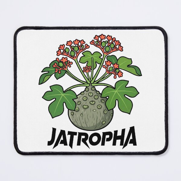 Item preview, Minimalist Jatropha Podagrica Caudex Club Graphic designed and sold by GreenDivisionJP.