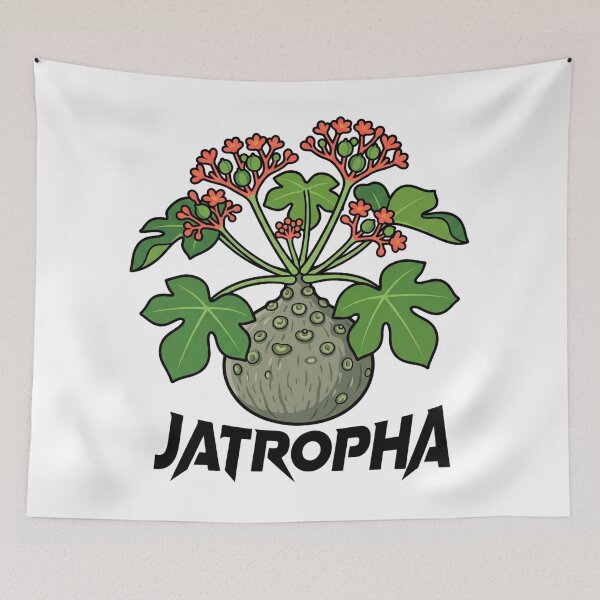Item preview, Minimalist Jatropha Podagrica Caudex Club Graphic designed and sold by GreenDivisionJP.