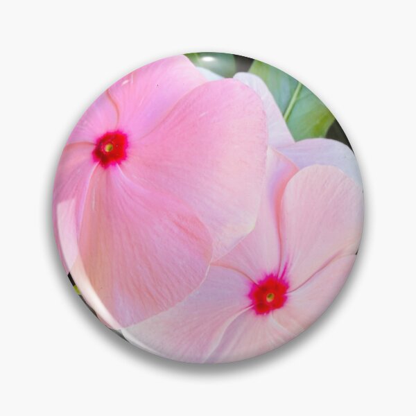Item preview, Soft Pink Periwinkle Flowers Garden Photography designed and sold by BalkanBloom.