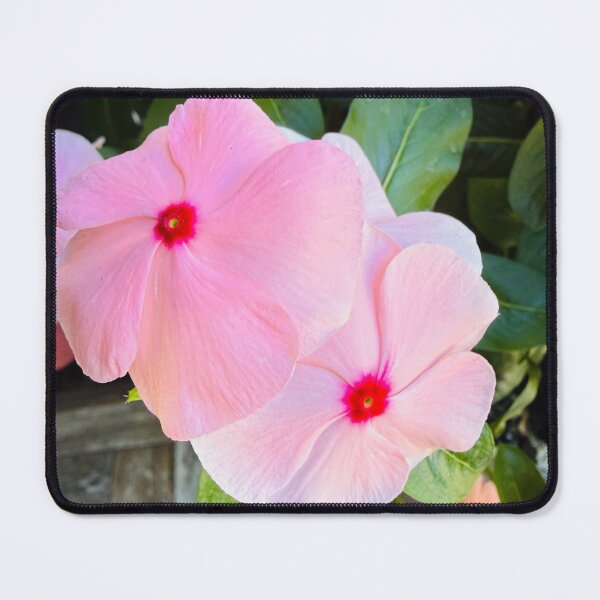 Item preview, Soft Pink Periwinkle Flowers Garden Photography designed and sold by BalkanBloom.