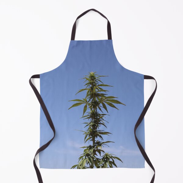 Item preview, The happiness plant grows beautifully designed and sold by diabphotography.