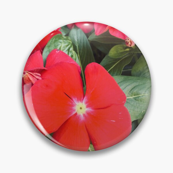 Item preview, Vivid Red Periwinkle Flowers Garden Photography designed and sold by BalkanBloom.