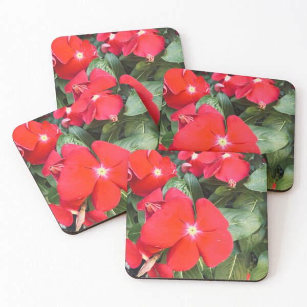 Item preview, Vivid Red Periwinkle Flowers Garden Photography designed and sold by BalkanBloom.