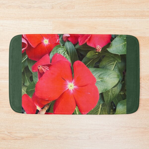 Item preview, Vivid Red Periwinkle Flowers Garden Photography designed and sold by BalkanBloom.