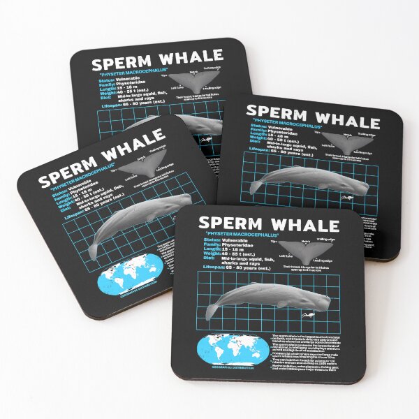 Item preview, Sperm whale data sheet designed and sold by NicGrayGraphic.