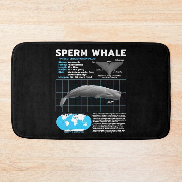 Item preview, Sperm whale data sheet designed and sold by NicGrayGraphic.