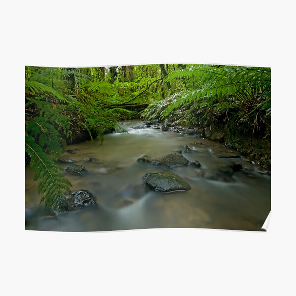Beautiful New Zealand. Poster